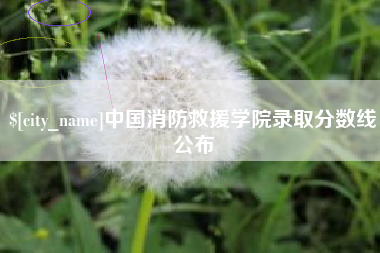 雄安新区中国消防救援学院录取分数线公布