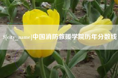 雄安新区中国消防救援学院历年分数线