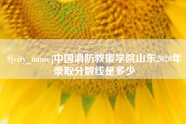雄安新区中国消防救援学院山东2020年录取分数线是多少