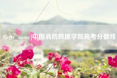 雄安新区中国消防救援学院高考分数线