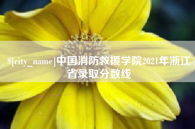 雄安新区中国消防救援学院2021年浙江省录取分数线