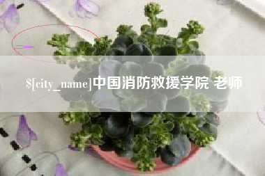 雄安新区中国消防救援学院 老师