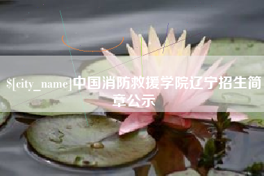 雄安新区中国消防救援学院辽宁招生简章公示