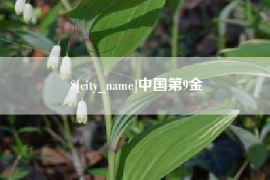 雄安新区中国第9金