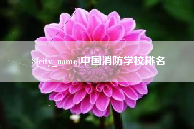 雄安新区中国消防学校排名