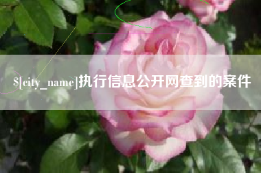 雄安新区执行信息公开网查到的案件