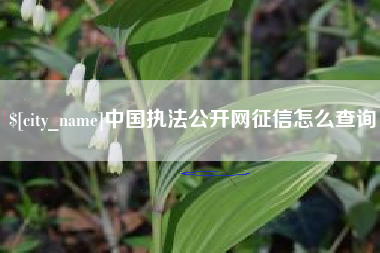 雄安新区中国执法公开网征信怎么查询