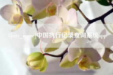 雄安新区中国执行记录查询系统app