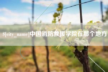 雄安新区中国消防救援学院在那个地方