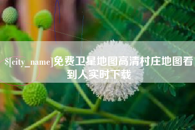 雄安新区免费卫星地图高清村庄地图看到人实时下载
