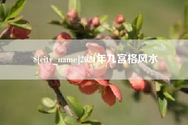 雄安新区2021年九宫格风水