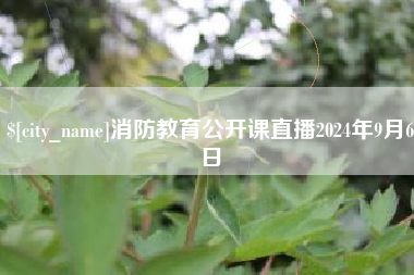 雄安新区消防教育公开课直播2024年9月6日