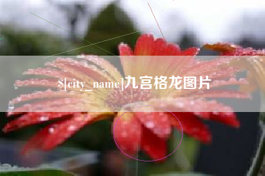 雄安新区九宫格龙图片