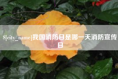 雄安新区我国消防日是哪一天消防宣传日