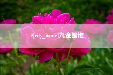 雄安新区九金是谁