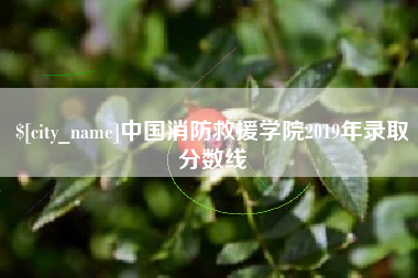 雄安新区中国消防救援学院2019年录取分数线
