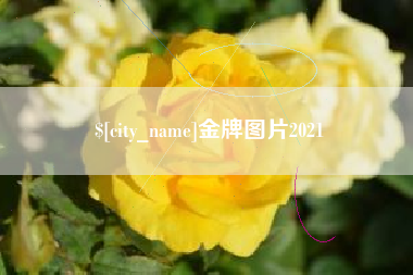 雄安新区金牌图片2021