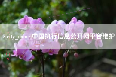 雄安新区中国执行信息公开网平台维护