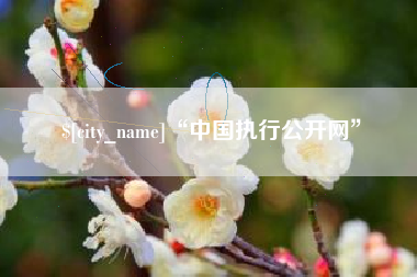 雄安新区“中国执行公开网”