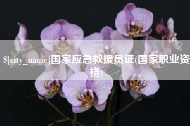 雄安新区国家应急救援员证(国家职业资格)
