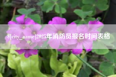 雄安新区2025年消防员报名时间表格