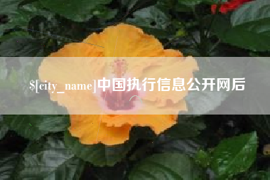 雄安新区中国执行信息公开网后