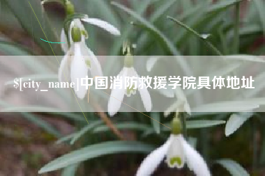 雄安新区中国消防救援学院具体地址