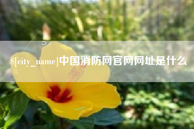 雄安新区中国消防网官网网址是什么