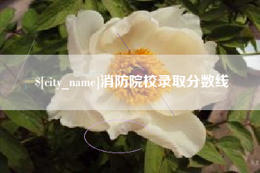 雄安新区消防院校录取分数线