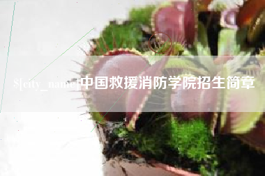 雄安新区中国救援消防学院招生简章