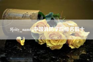 雄安新区中国消防学院排名前十