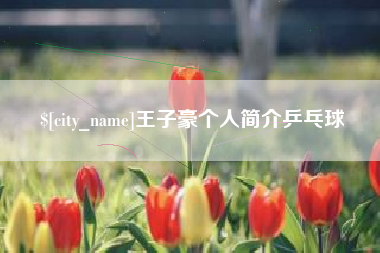 雄安新区王子豪个人简介乒乓球