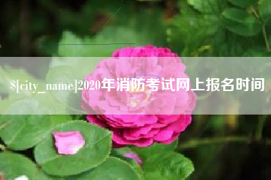 雄安新区2020年消防考试网上报名时间