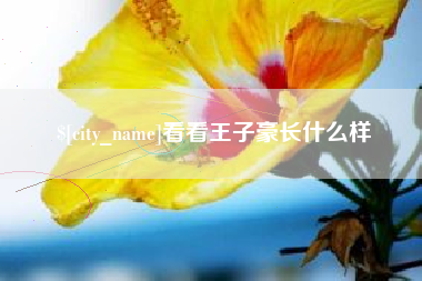 雄安新区看看王子豪长什么样