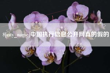 雄安新区中国执行信息公开网真的假的