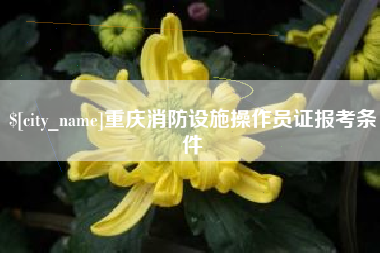 雄安新区重庆消防设施操作员证报考条件