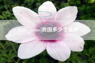 雄安新区我国多少个金牌
