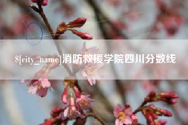 雄安新区消防救援学院四川分数线