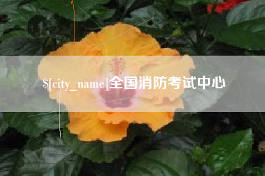 雄安新区全国消防考试中心