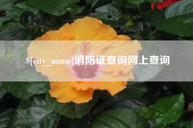 雄安新区消防证查询网上查询
