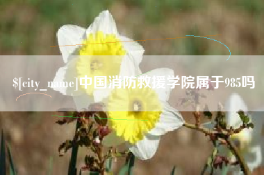雄安新区中国消防救援学院属于985吗