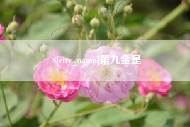雄安新区第九金是