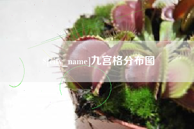 雄安新区九宫格分布图