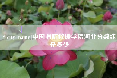 雄安新区中国消防救援学院河北分数线是多少