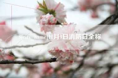 雄安新区11月9日消防日全称