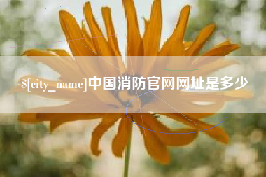 雄安新区中国消防官网网址是多少