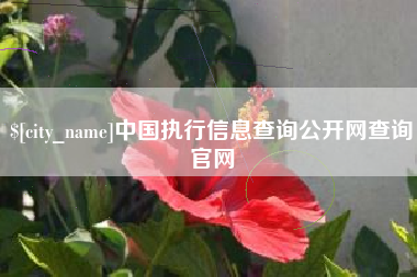 雄安新区中国执行信息查询公开网查询官网