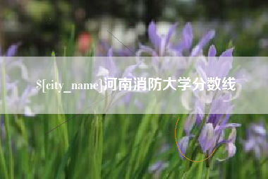 雄安新区河南消防大学分数线