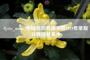 雄安新区中国消防救援学院2019年录取分数线是多少