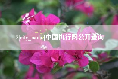 雄安新区中国执行网公开查询